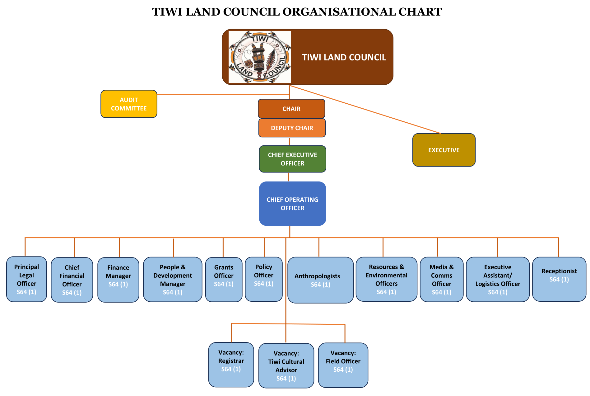 TLC Organisational Structure